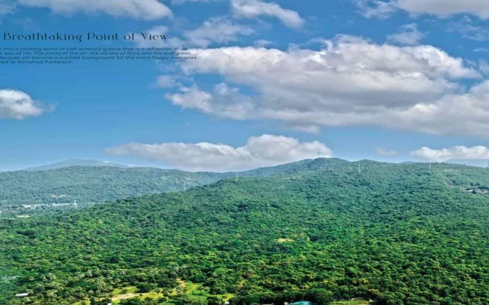 micl aaradhya high park