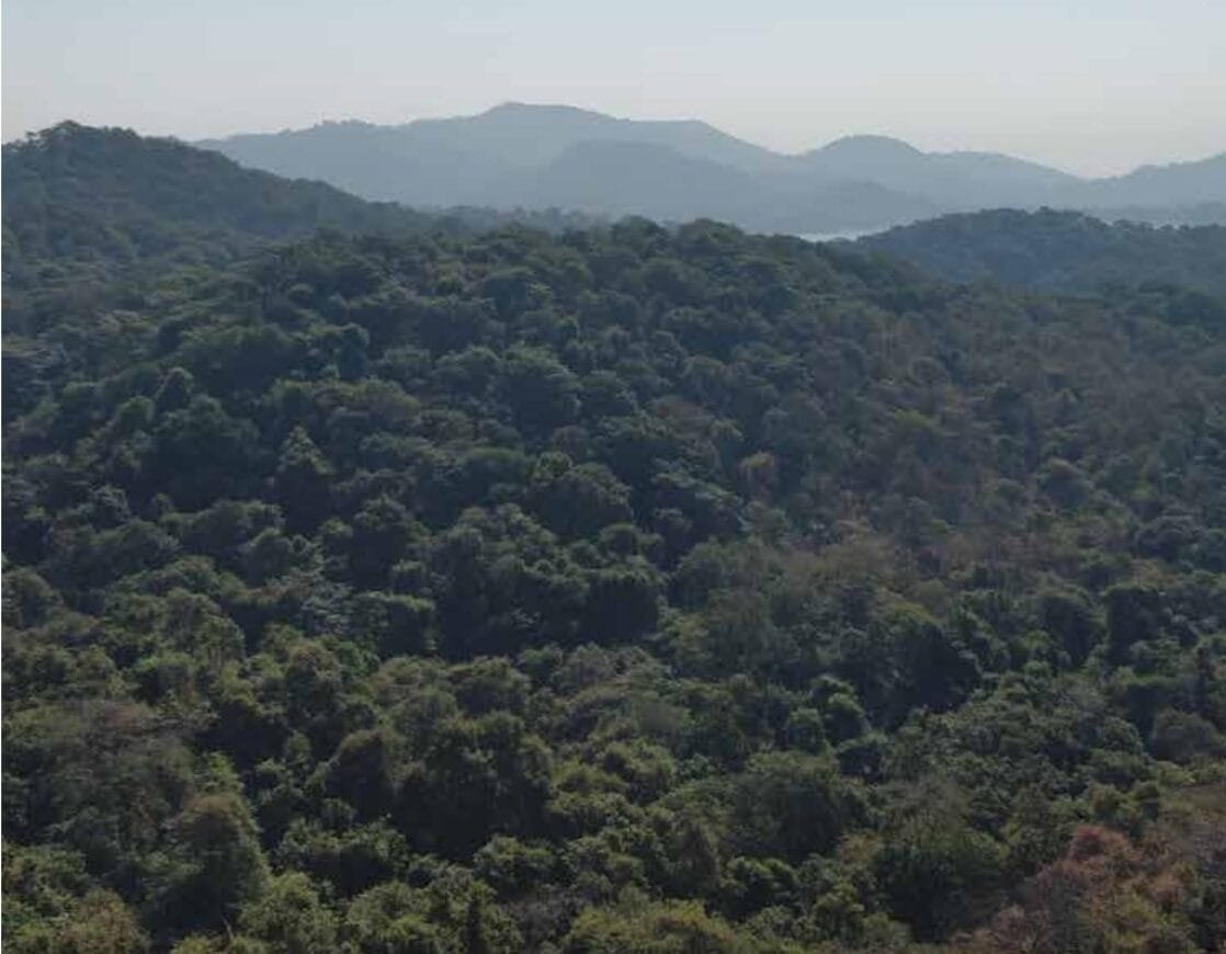 Find Your Home in Dahisar Check Naka 2 Sanjay Gandhi National Park greenery near Dahisar Check Naka