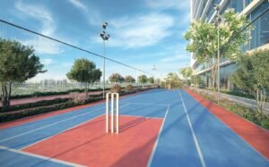 Aspirz by Danube cricket pitch