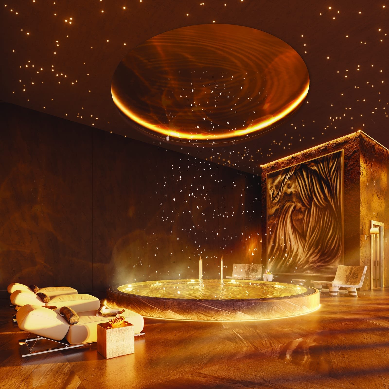 DN YOO Odisha heated wellness pool