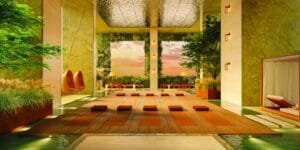 DN YOO Odisha yoga and meditation deck