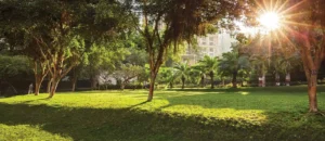 Heritage Garden, Hiranandani Gardens Powai – actual photo