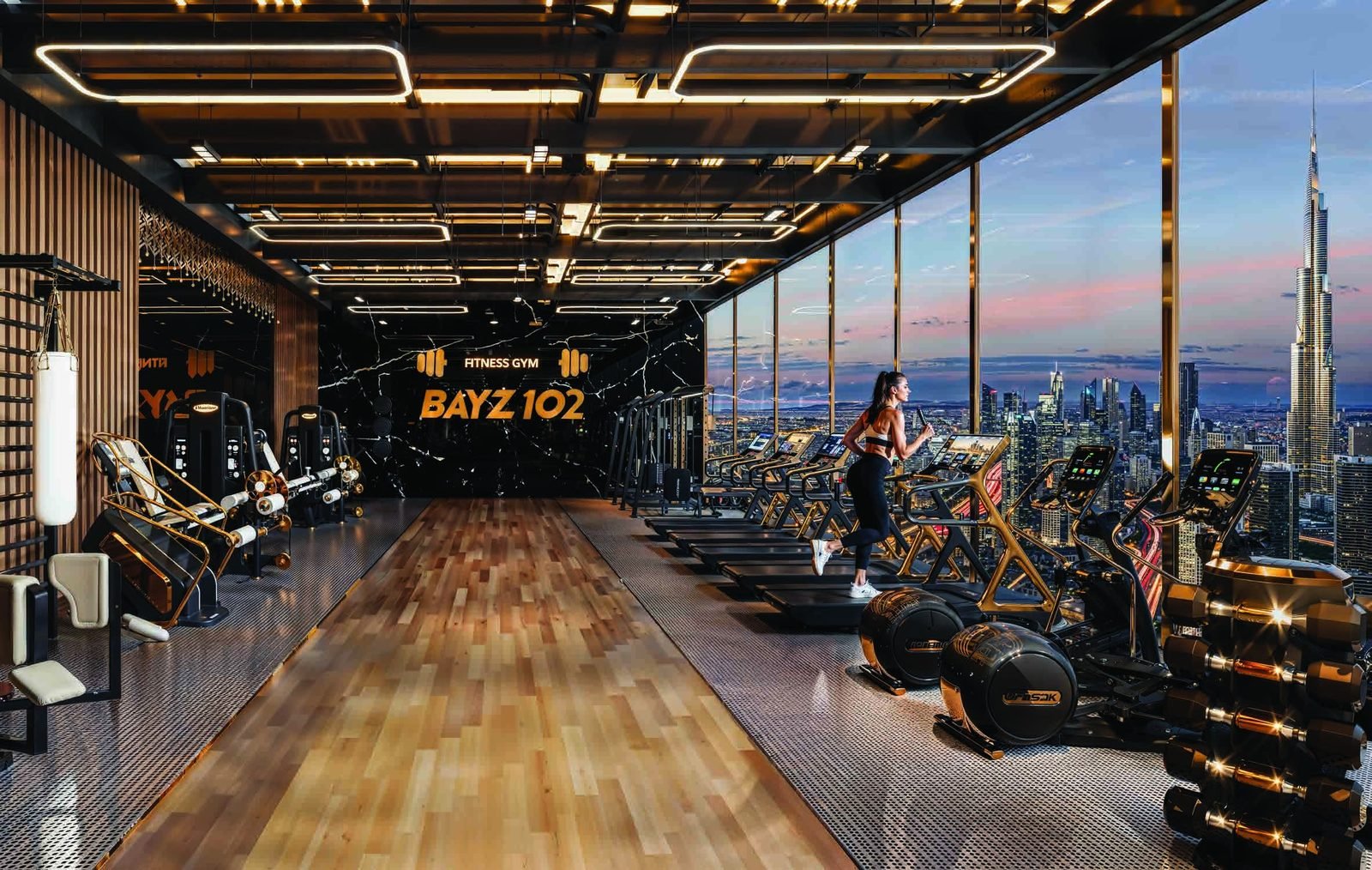Bayz 102 by Danube gym