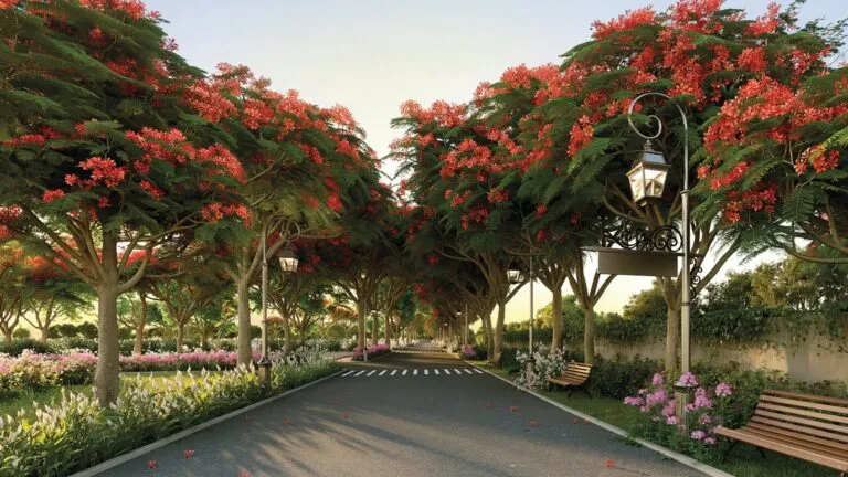 Chartered Birdsong tree lined avenue