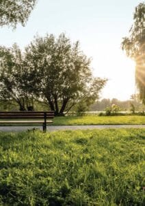 Lodha Sovrano open greens with preserved old trees