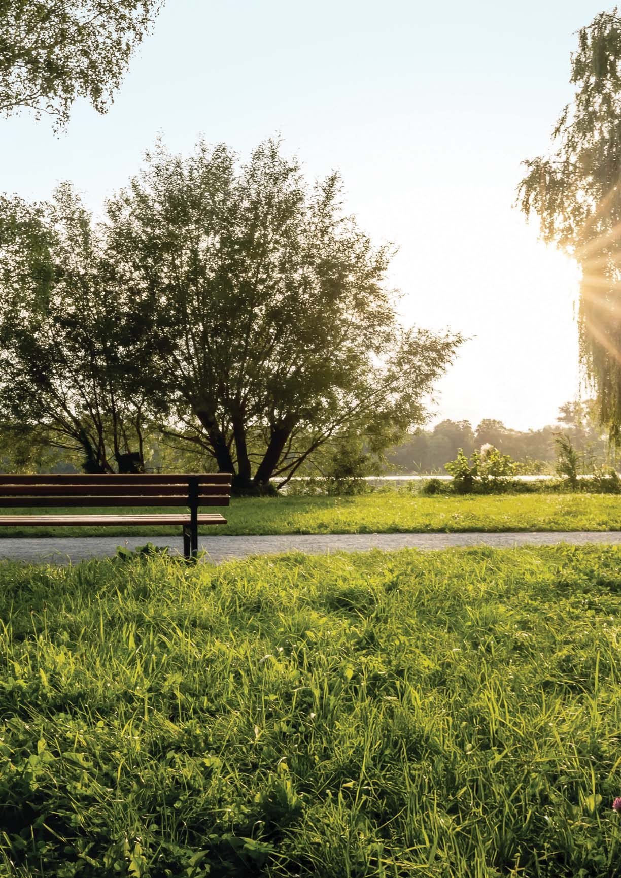 Lodha Sovrano open greens with preserved old trees