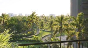 SOBHA Ayana balcony view of the forestscape