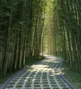 SOBHA Meadows bamboo walk