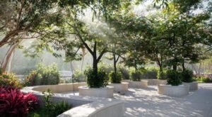 SOBHA Meadows landscaped garden