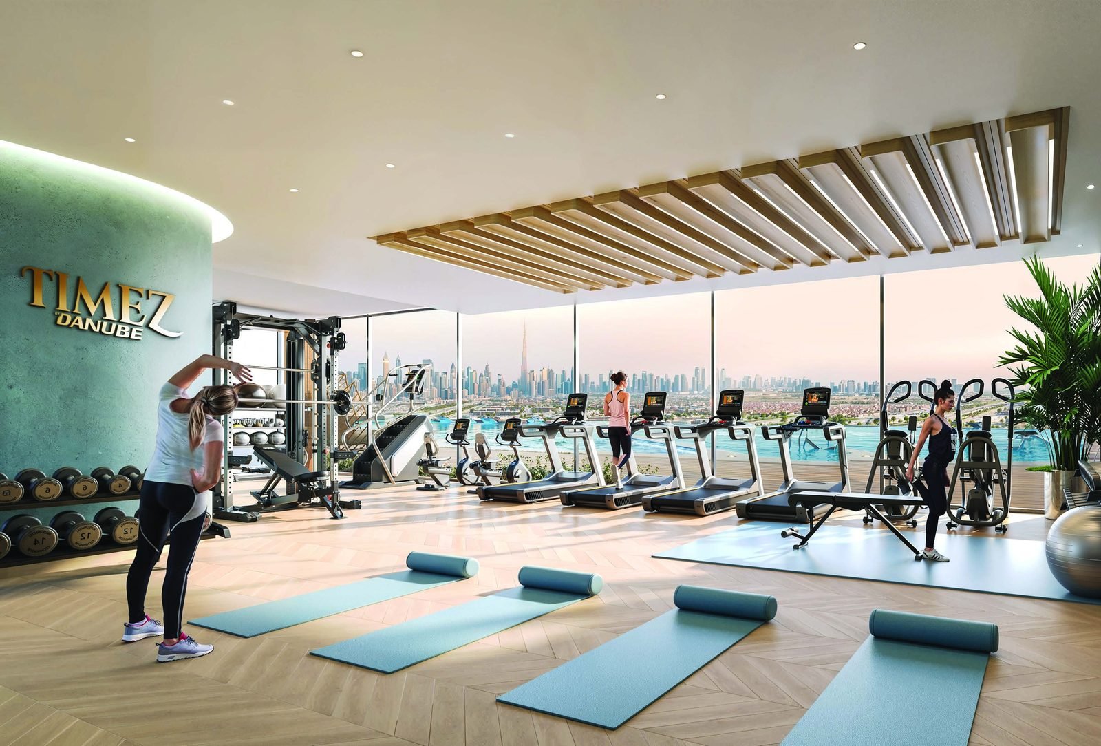 Timez by Danube indoor gym